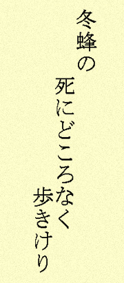 冬蜂の死にどころなく歩きけり